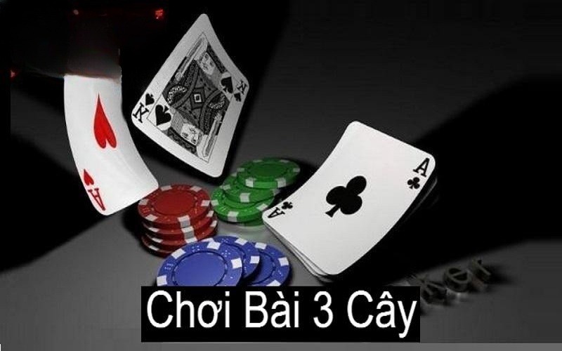 Cách Chơi Bài 3 Cây Hiệu quả Và Đơn Giản Cho Newbie 2025