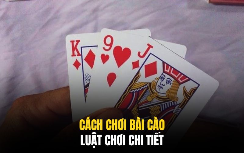 Cách Chơi Bài Cào Đơn Giản Và Húp Thưởng Nhanh Chóng