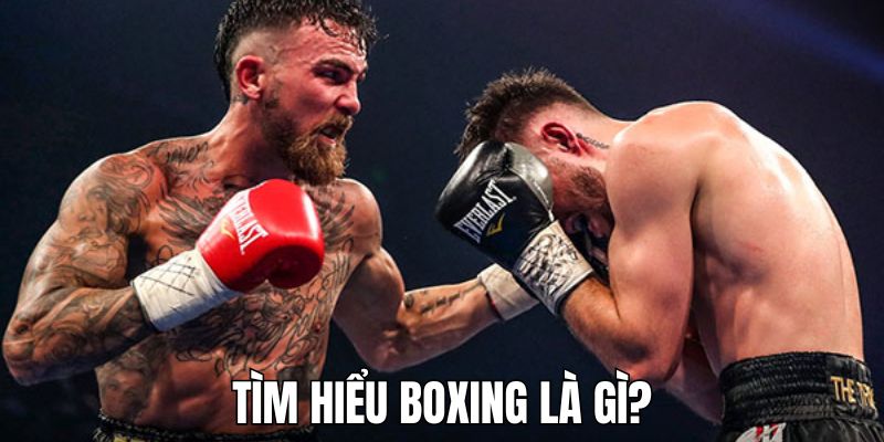 Cách Chơi Boxing - Hướng Dẫn Chi Tiết Cho Người Mới Bắt Đầu