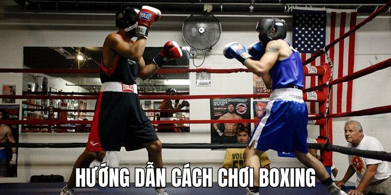 Cách Chơi Boxing - Hướng Dẫn Chi Tiết Cho Người Mới Bắt Đầu