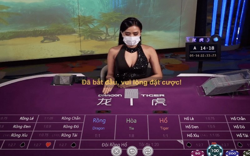 Chiến Thuật Chơi Rồng Hổ - Top 05+ Bí Kíp Đỉnh Cao Tại 789BET