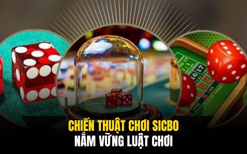 Chiến Thuật Chơi Sicbo Qua 3+ Phương Pháp Hữu Hiệu Bậc Nhất