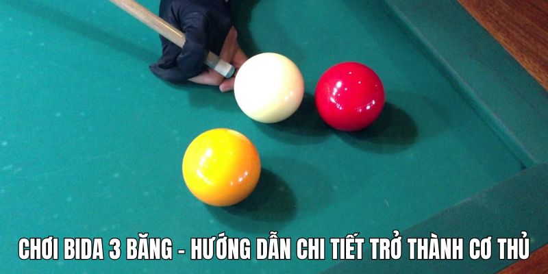 Chơi bida 3 băng - Hướng dẫn chi tiết trở thành cơ thủ