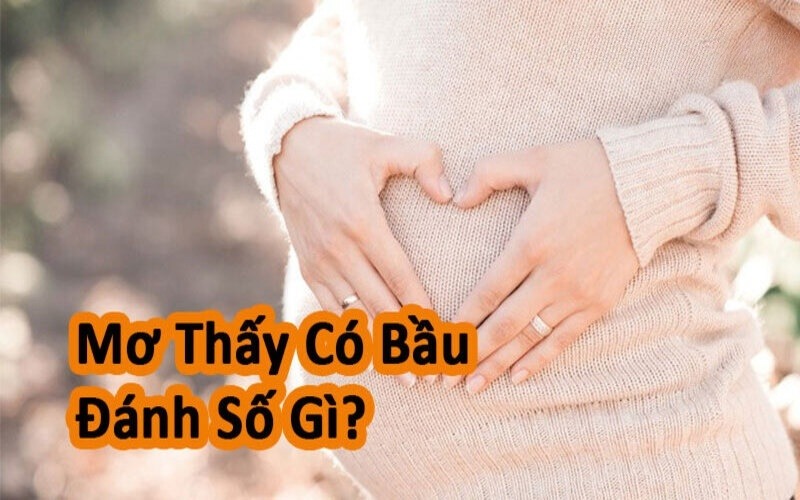 Giấc Mơ Có Bầu Mang Điềm Báo Và Đặt Cược Vào Con Số Gì?