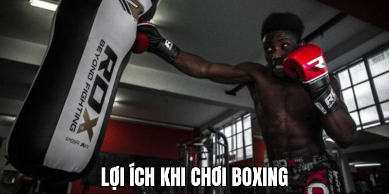 Cách Chơi Boxing - Hướng Dẫn Chi Tiết Cho Người Mới Bắt Đầu